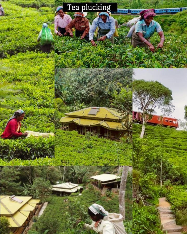 Train View Chalet Bandarawela Esterno foto